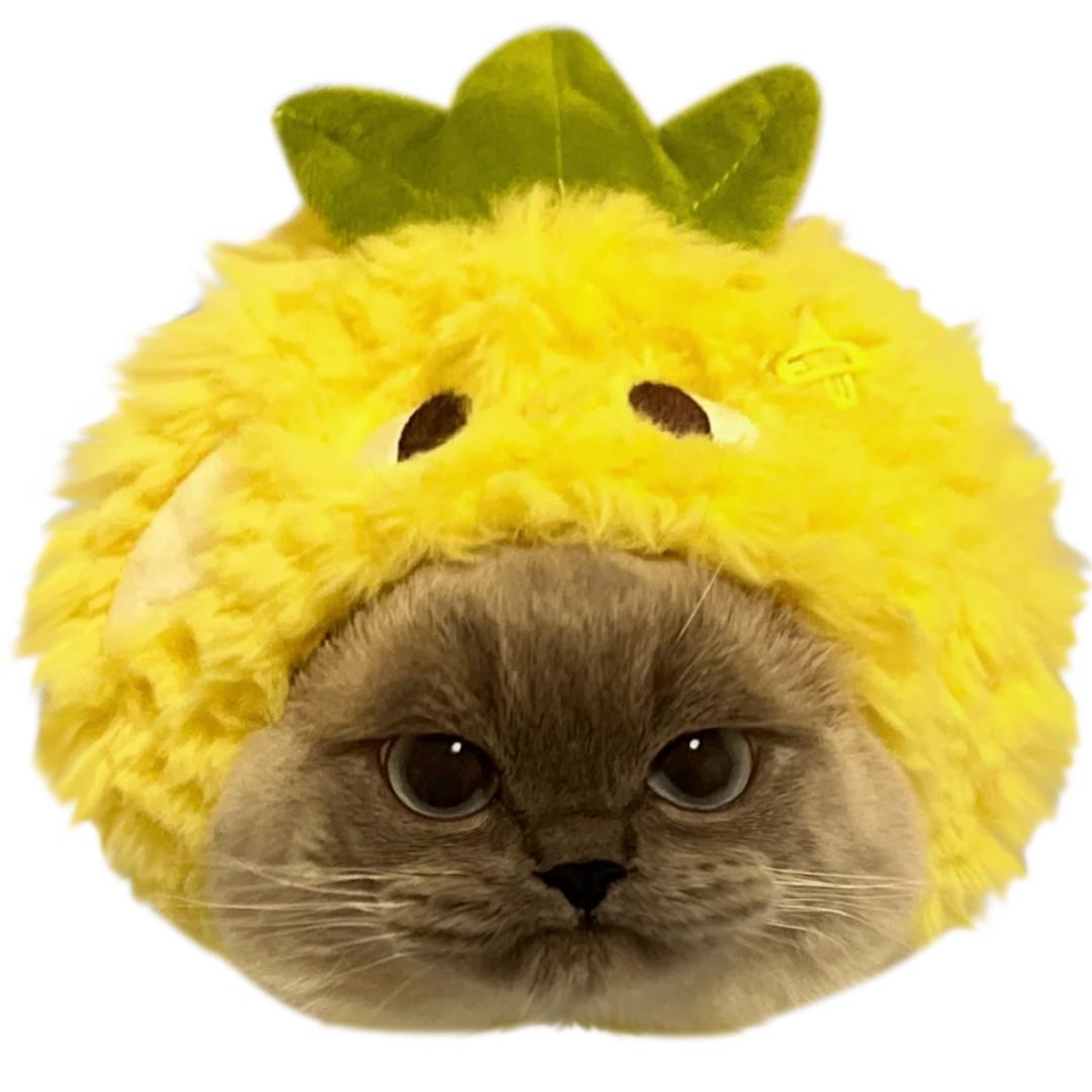 aa