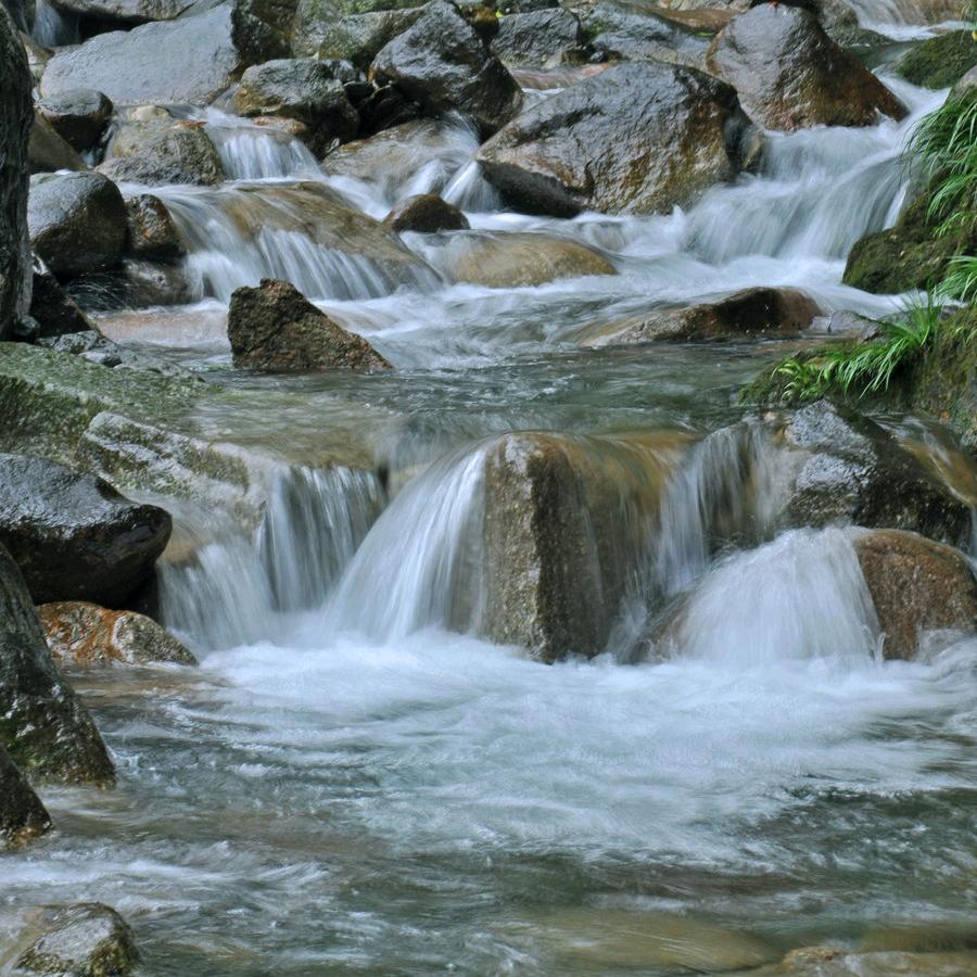 小溪水