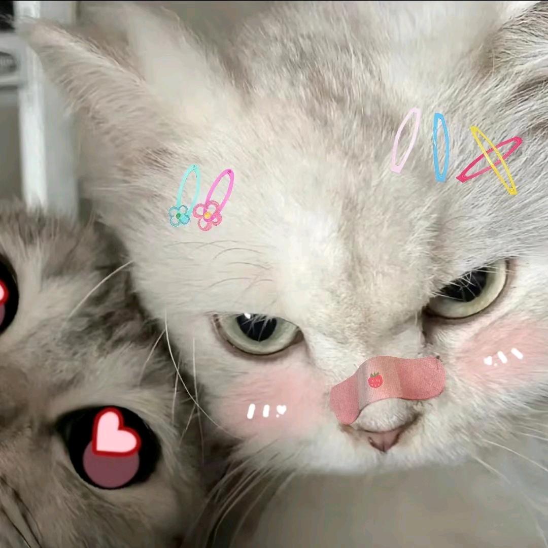赤耳