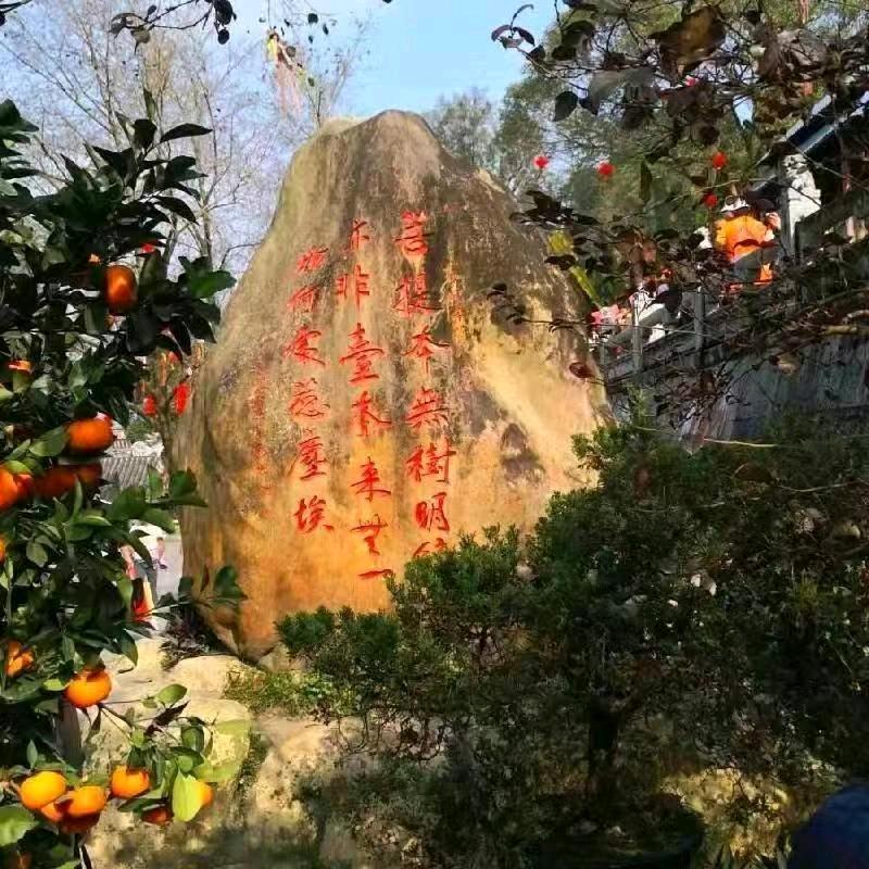 🌴🌴春林初盛🌿🫧