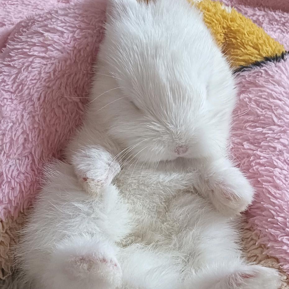 iLOVE YOU♥♥😘😘