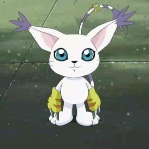 浪图🍭¹⁰¹⁰