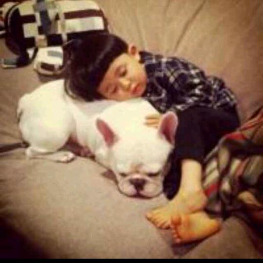 风继续吹！礼物继续刷。