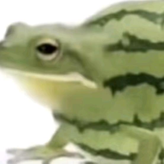 西呱