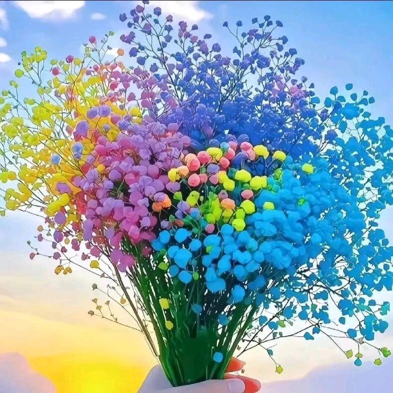@🌼ꦿ໊满天᭄🎋星辰᭄ꦿᩚ٭：໑ຼₒ