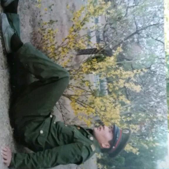 马到成功1517631500