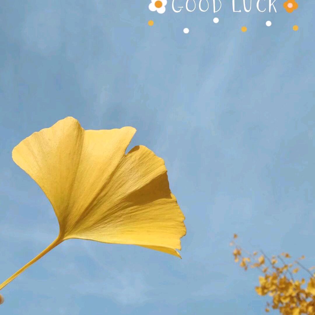 三月 🍀