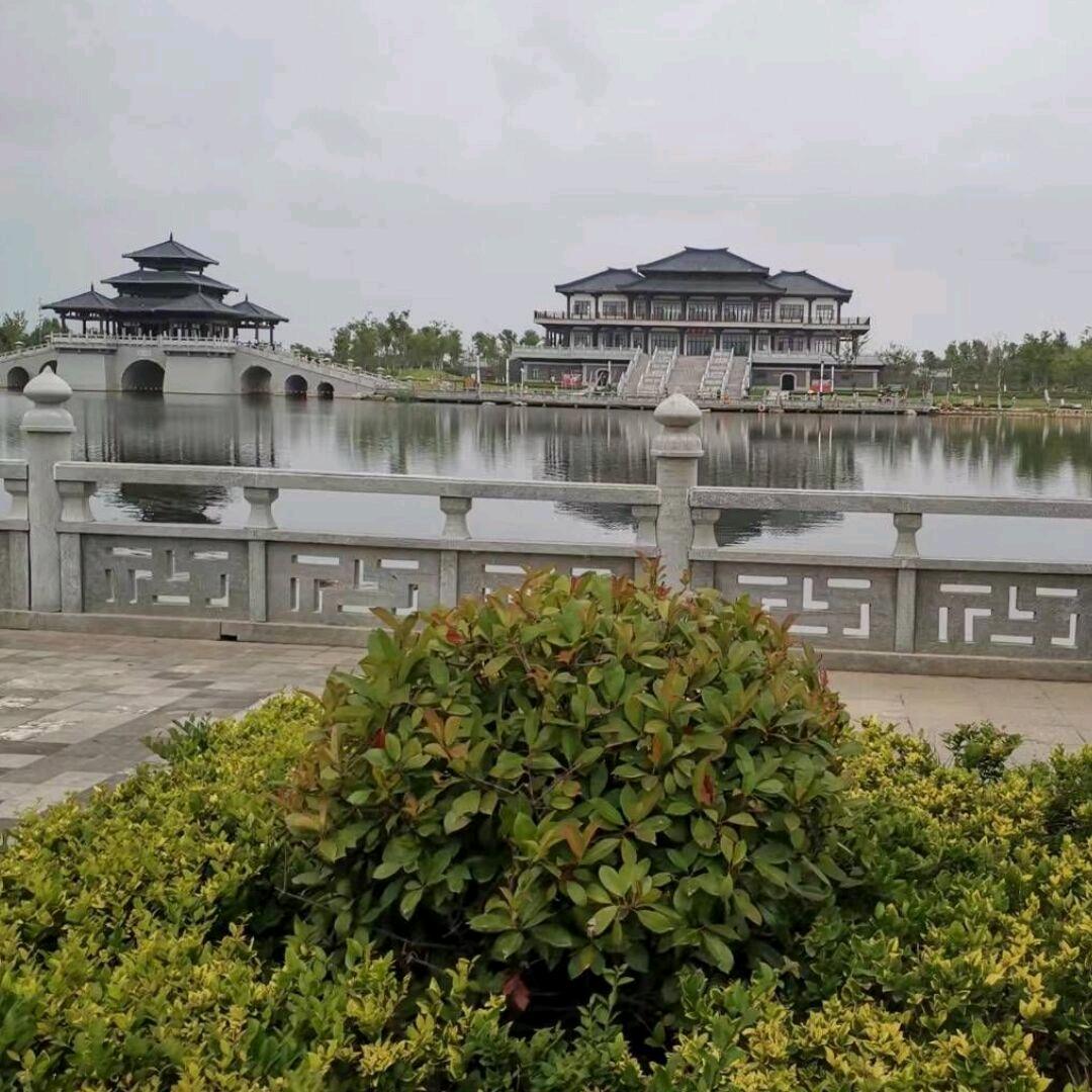 寒冬一支梅