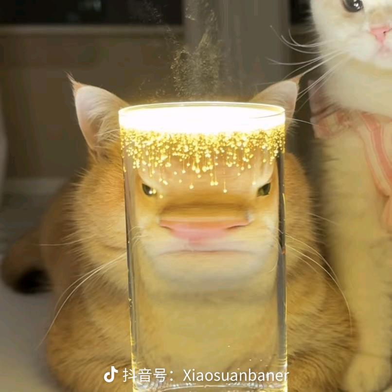 小 豪
