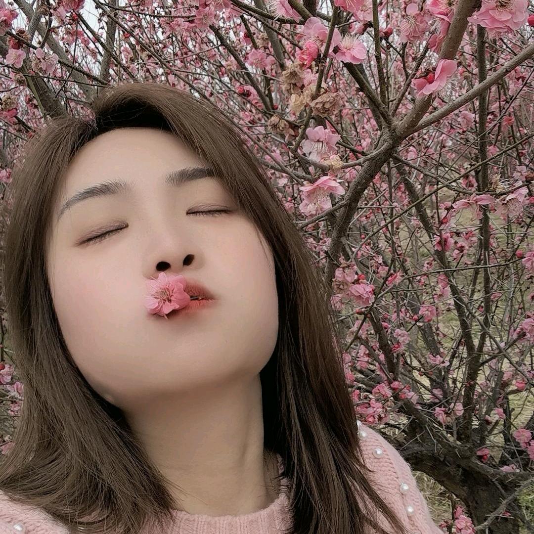 仙女下凡的凡
