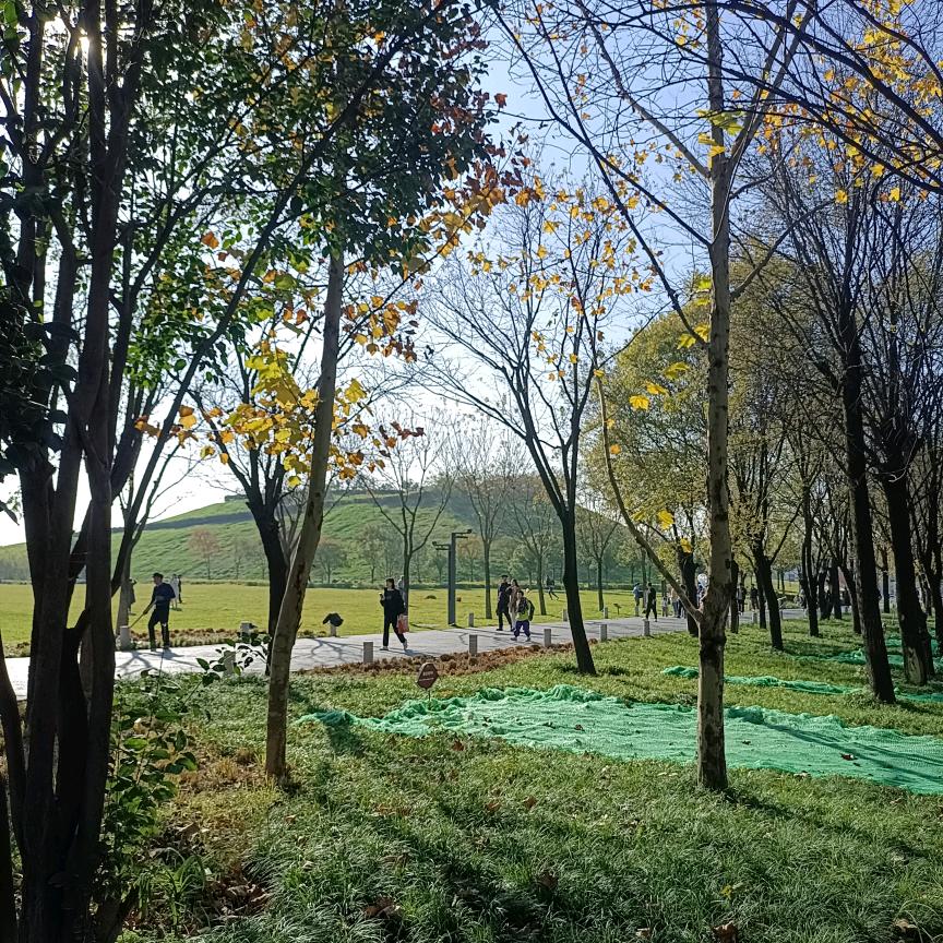 湿地之恋
