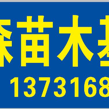 奥森苗圃场