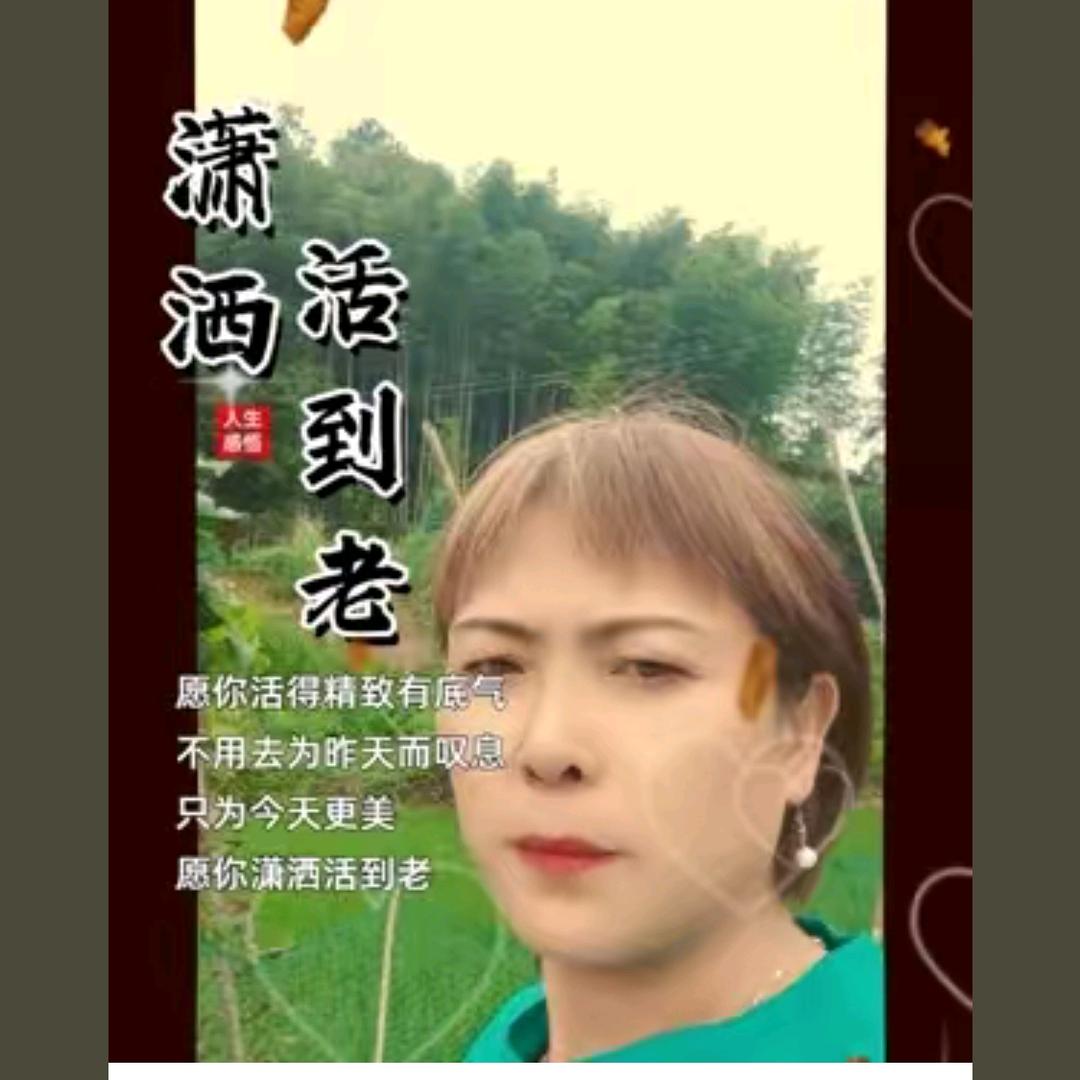 何淑伦