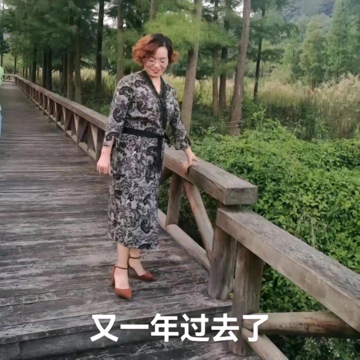 寻找温暖的家