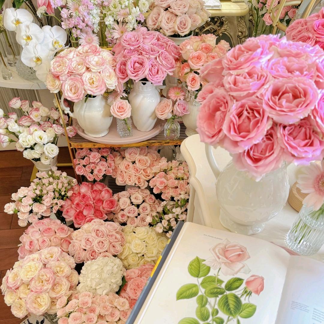 紫苑鲜花