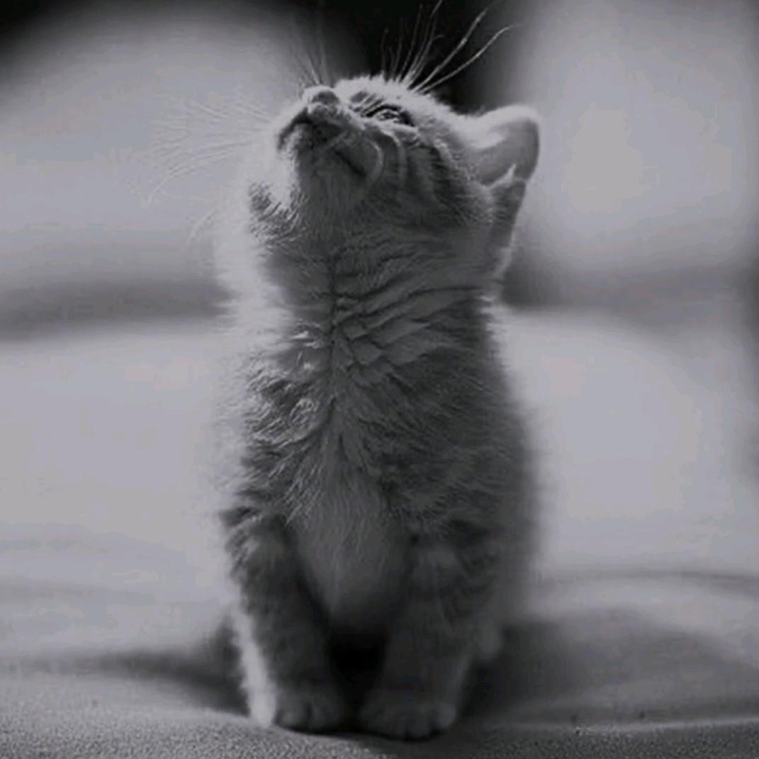 该來了