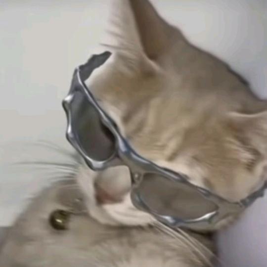 我独自升级（