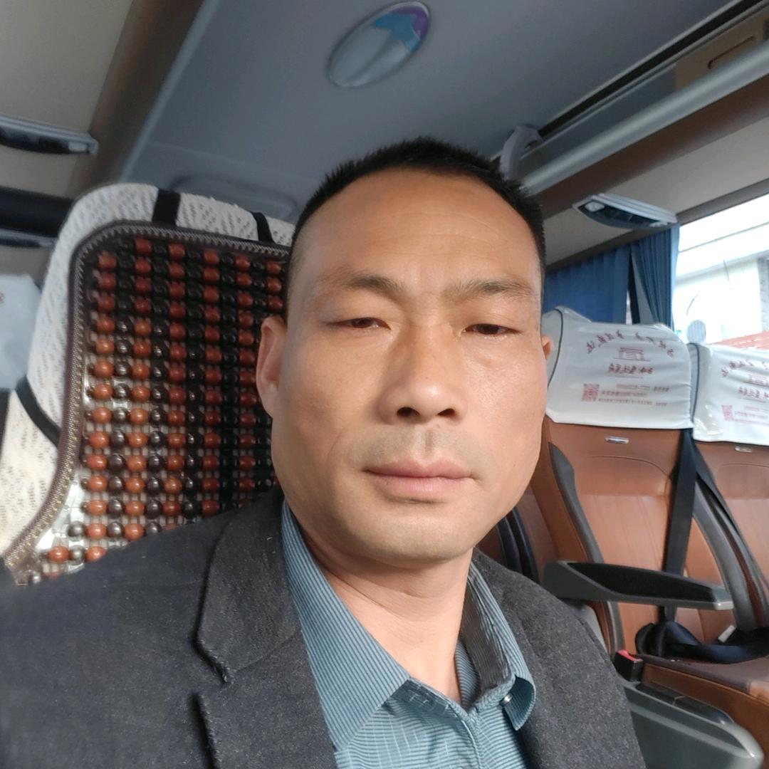 真心真意