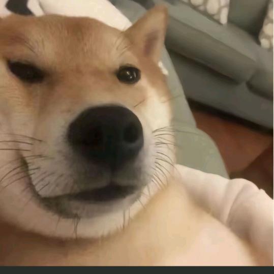 AAA号卡宽带星