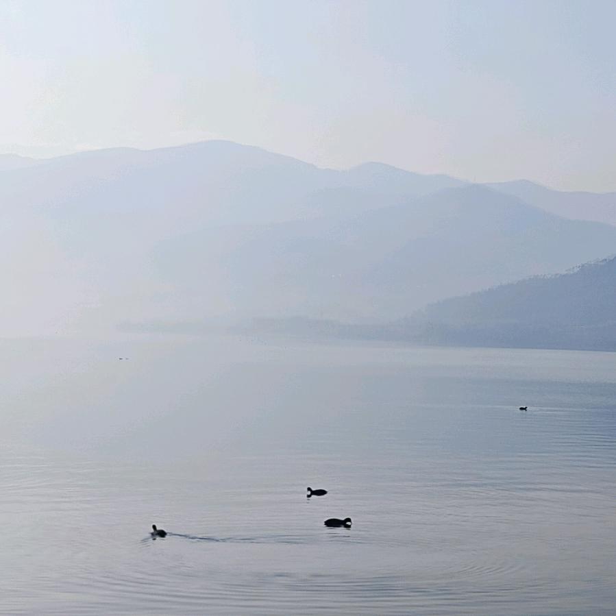 七月初柒