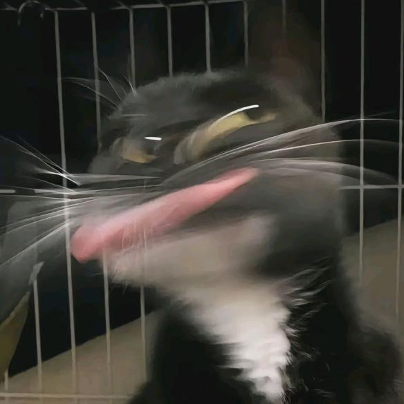 沐
