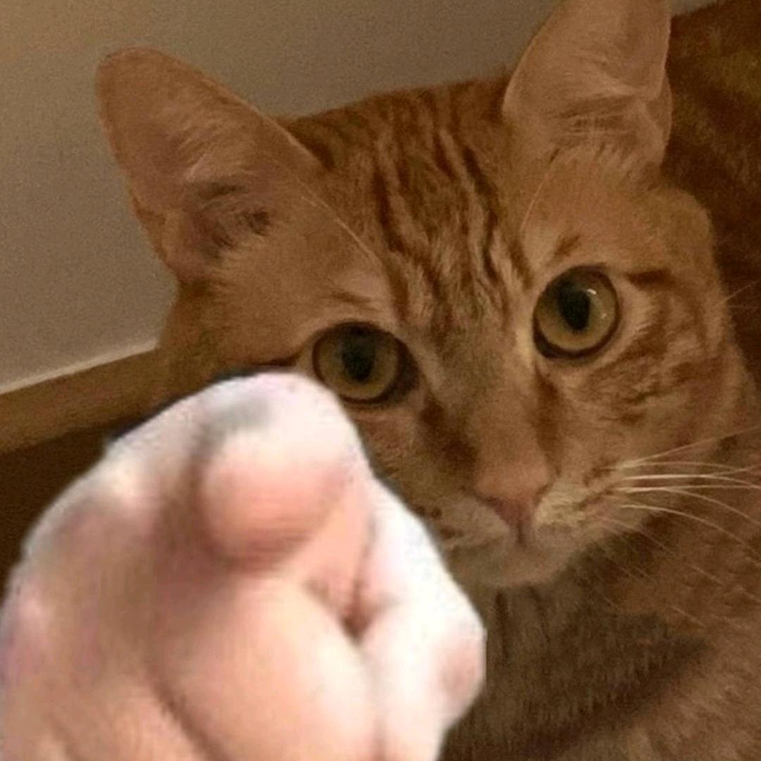 🌈我一点都不困