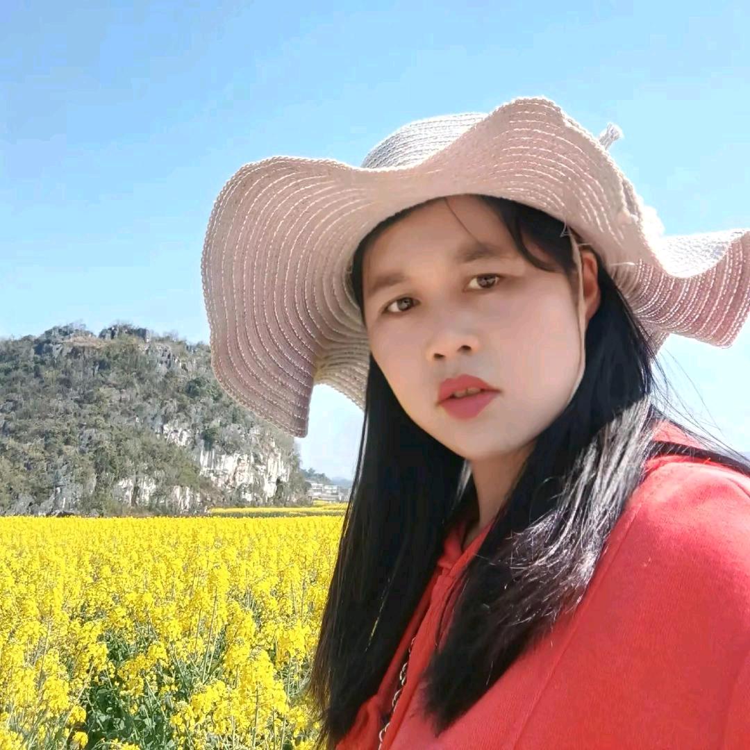 满目ヾ(＾。^*)星河