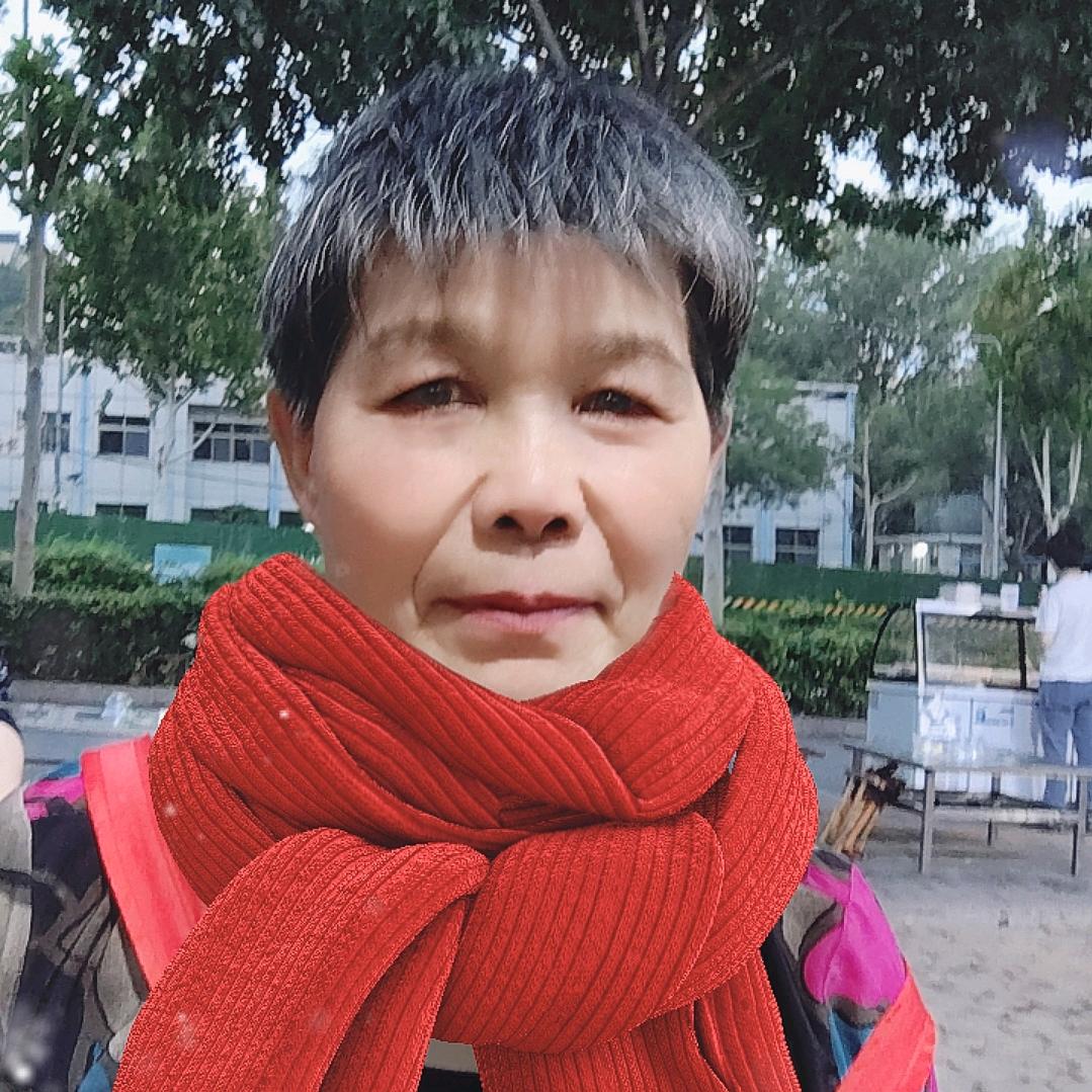 高凤