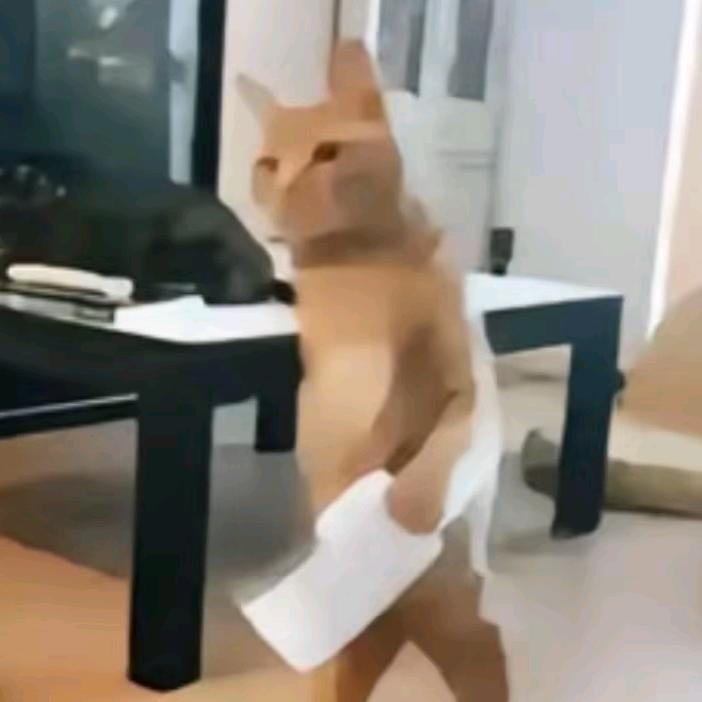单核细胞的王