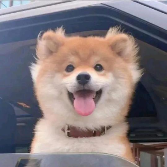 雾晴