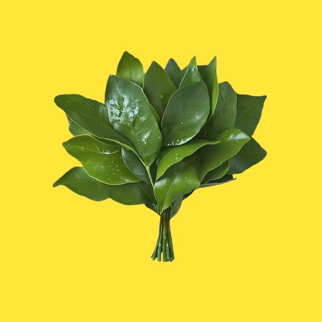 网络丐帮帮主
