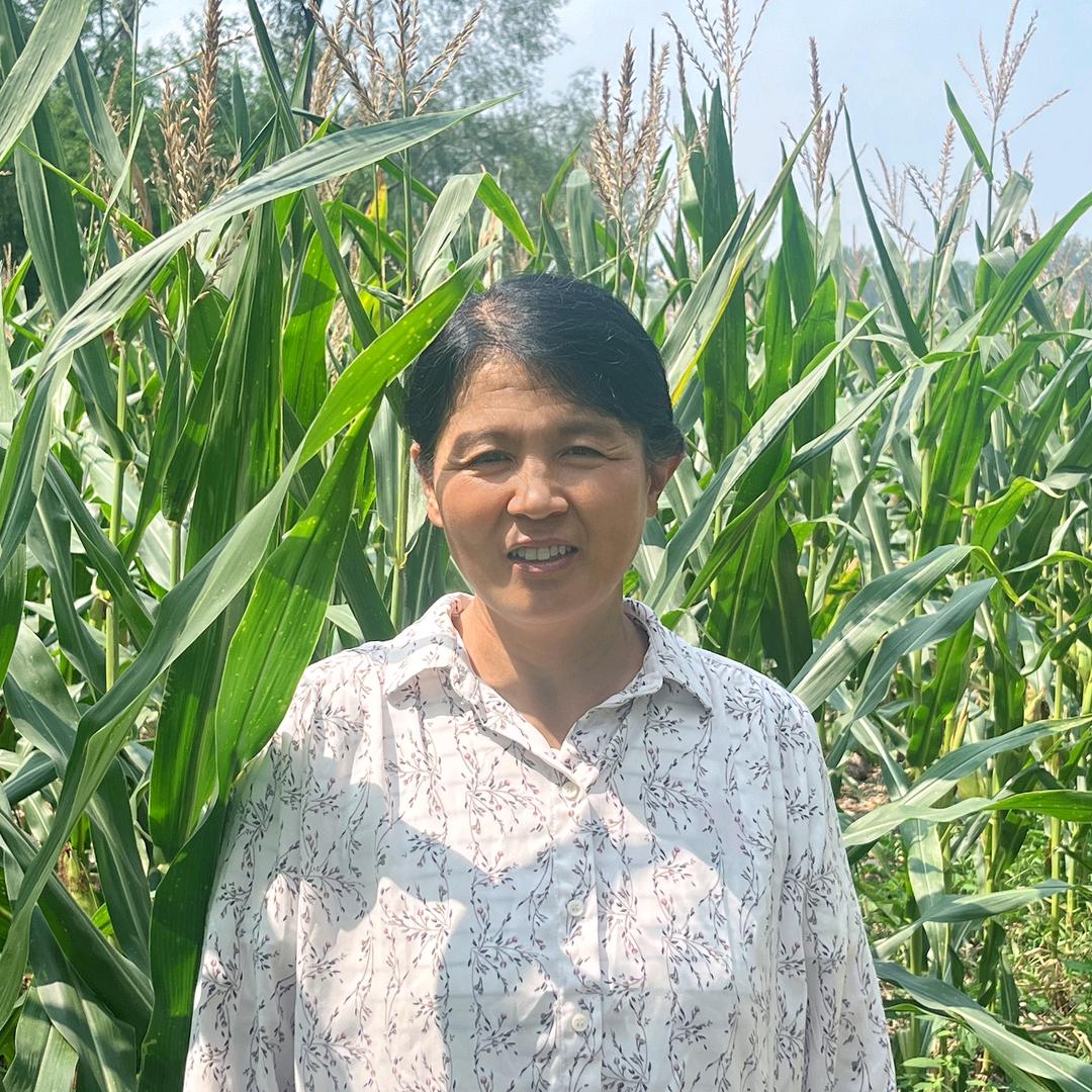 农村杨姐(首播)