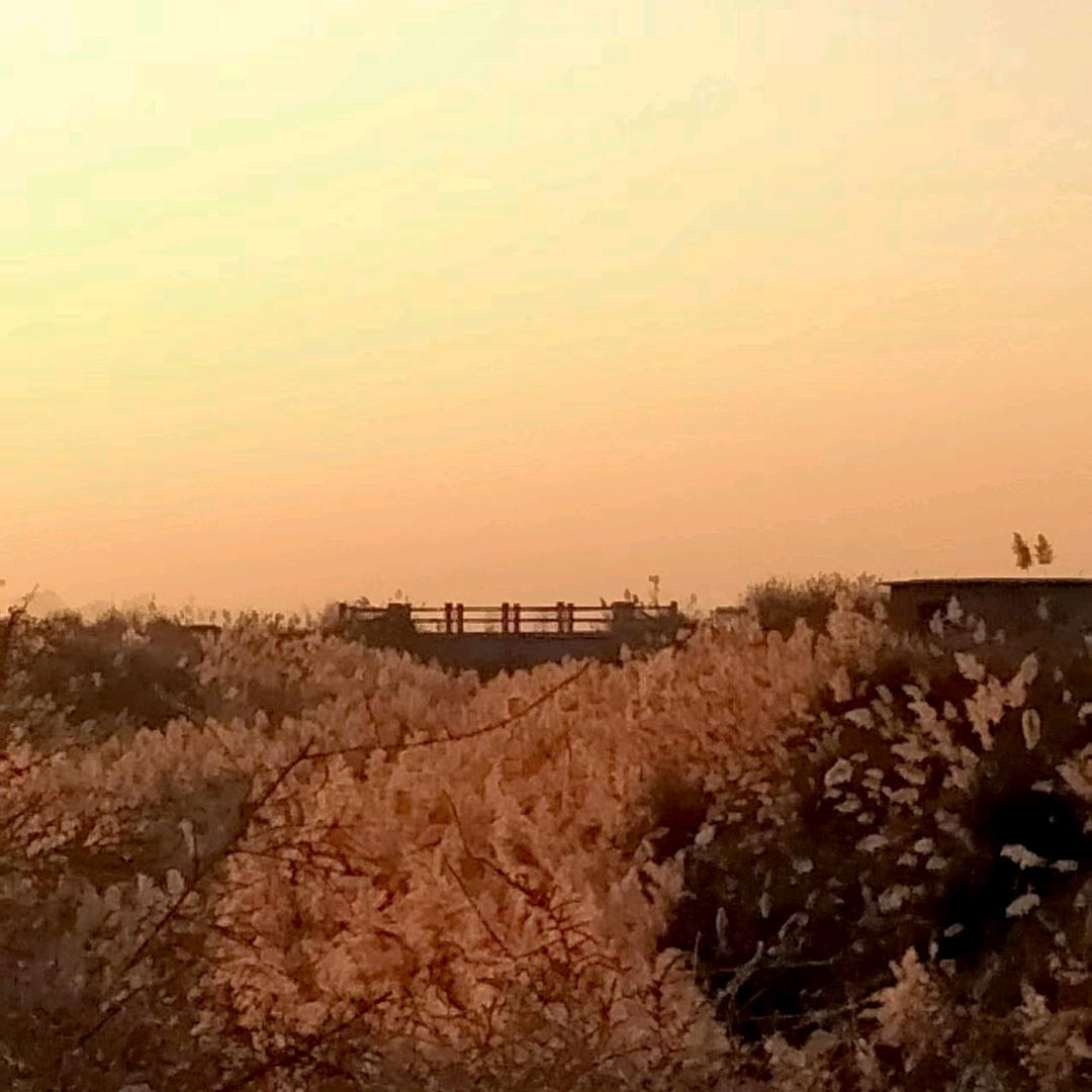 岁月静好💅🏻