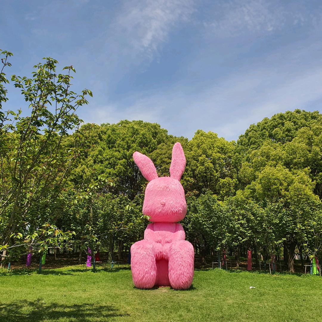 🍁๓独爱࿐🌸