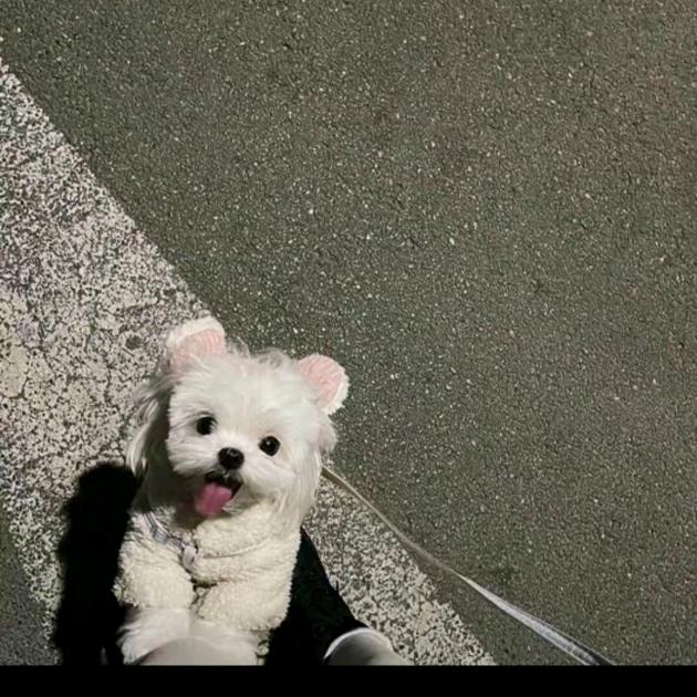 相濡以沫