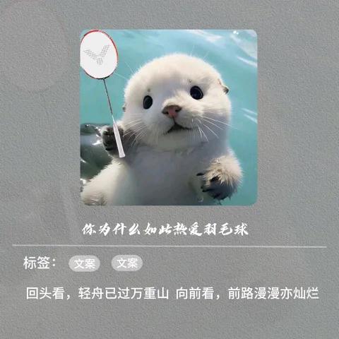 小杨不会羽毛球🏸