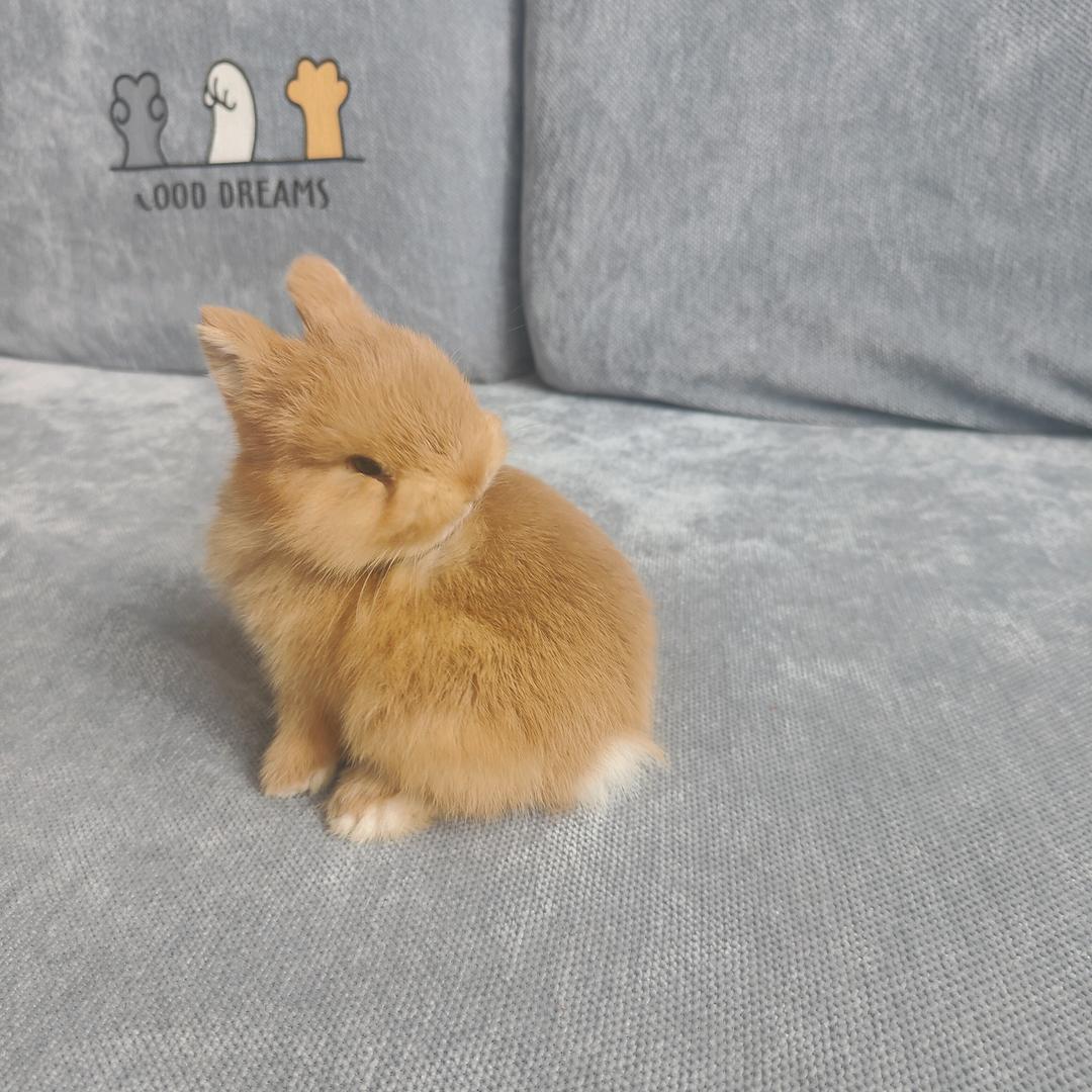 💕₅²⁰陌ઈོ妮¹ᶟ₁₄