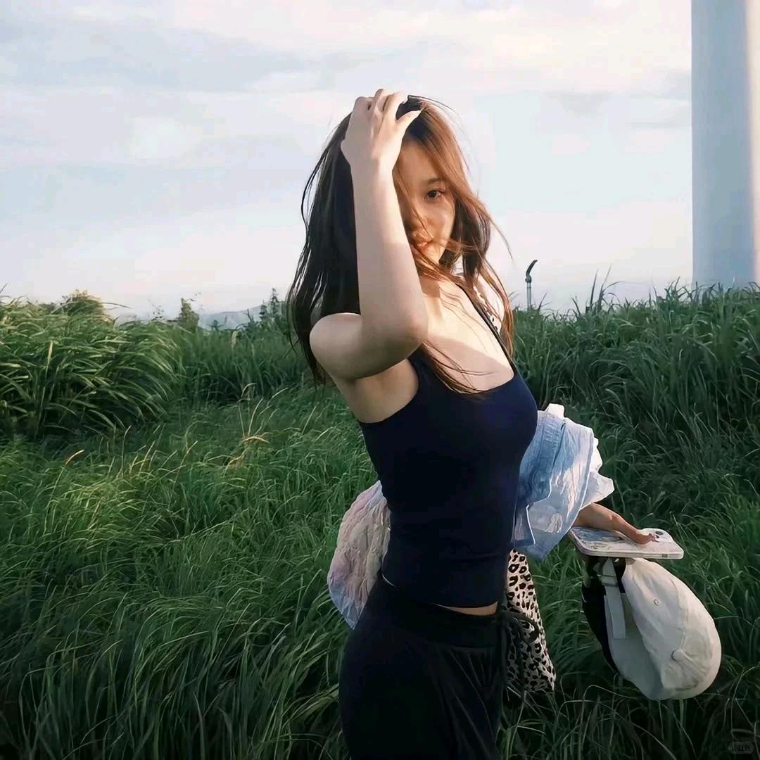 壹只鲤鱼