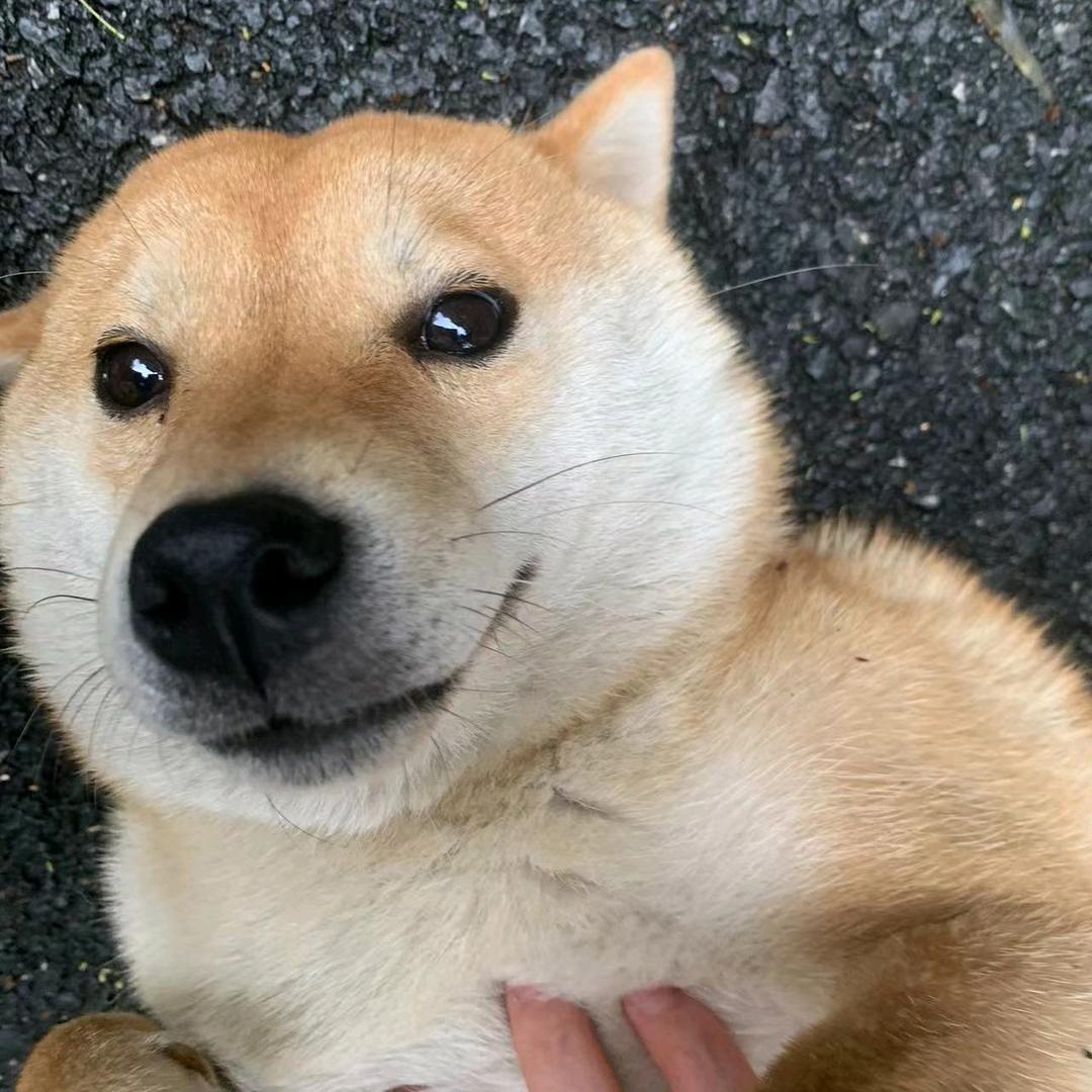 香蕉个巴拉