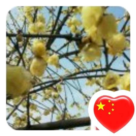 春花秋月