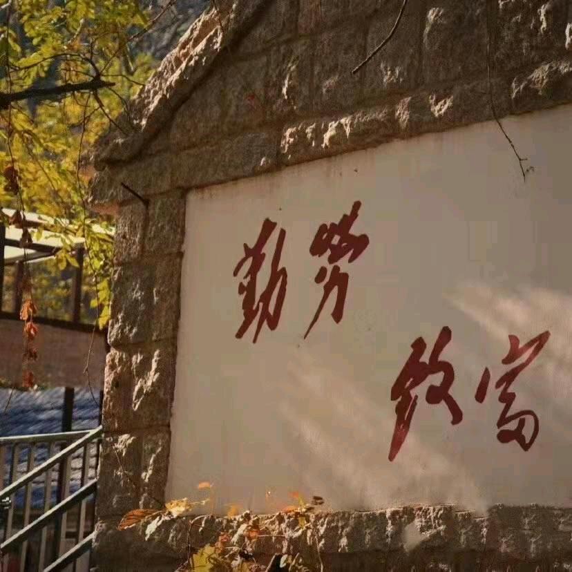 苏柒电商
