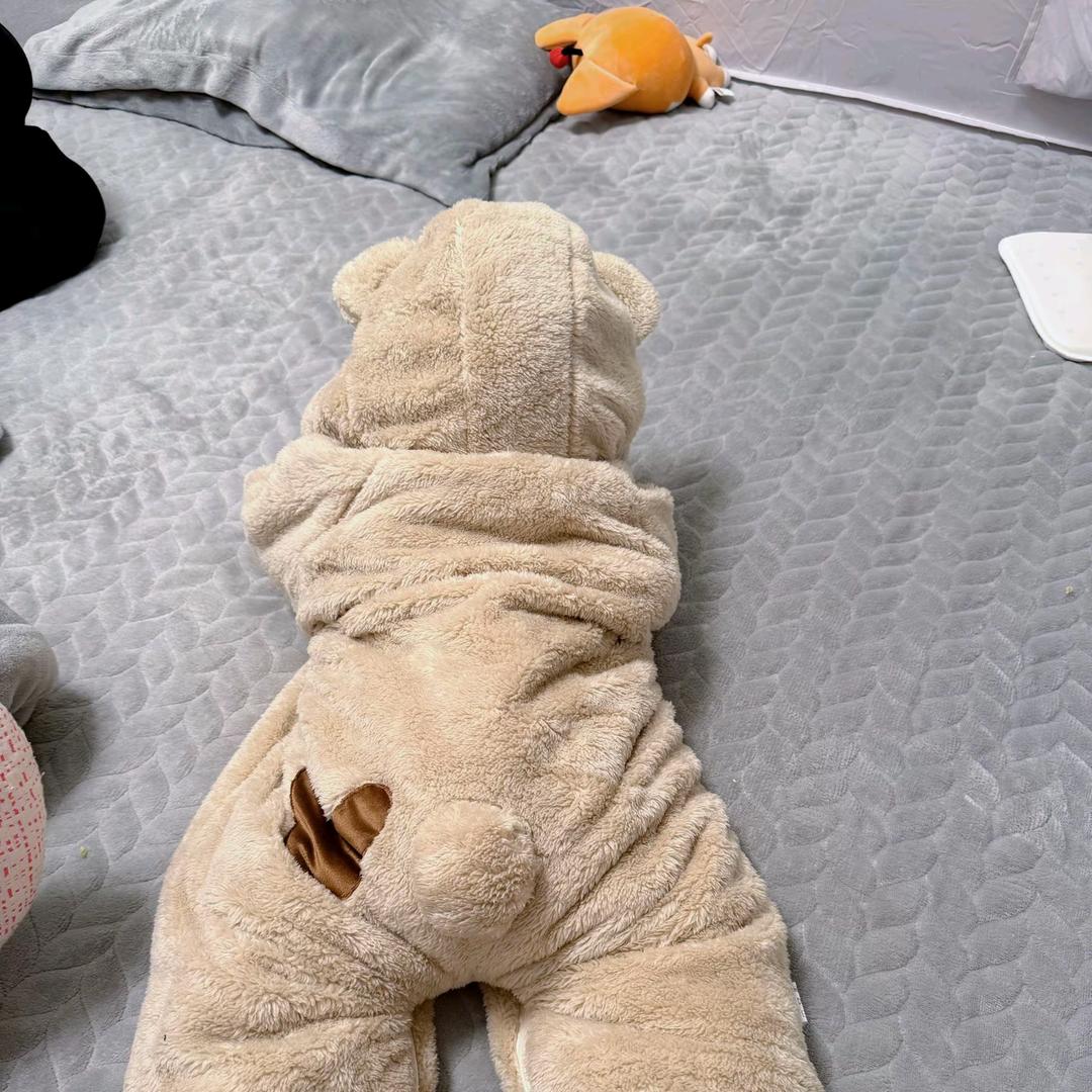 安安麻麻(带宝宝创业)