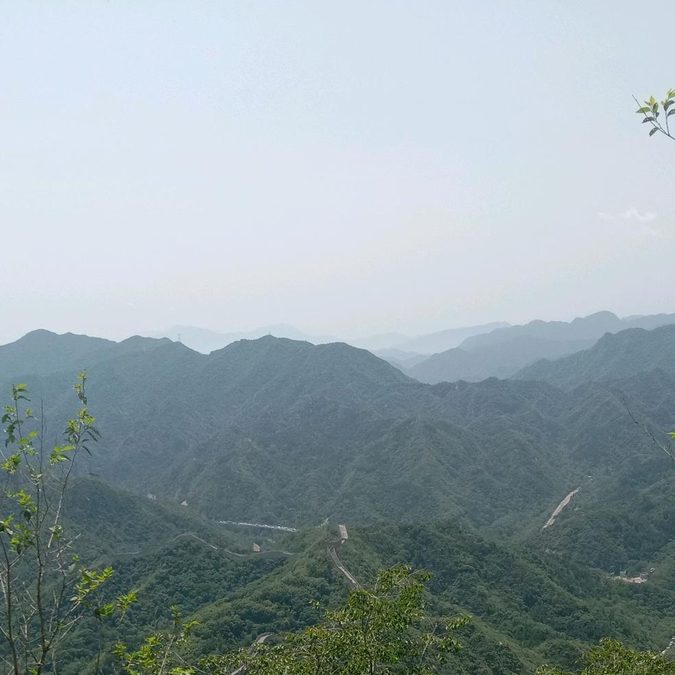 醉了才清醒