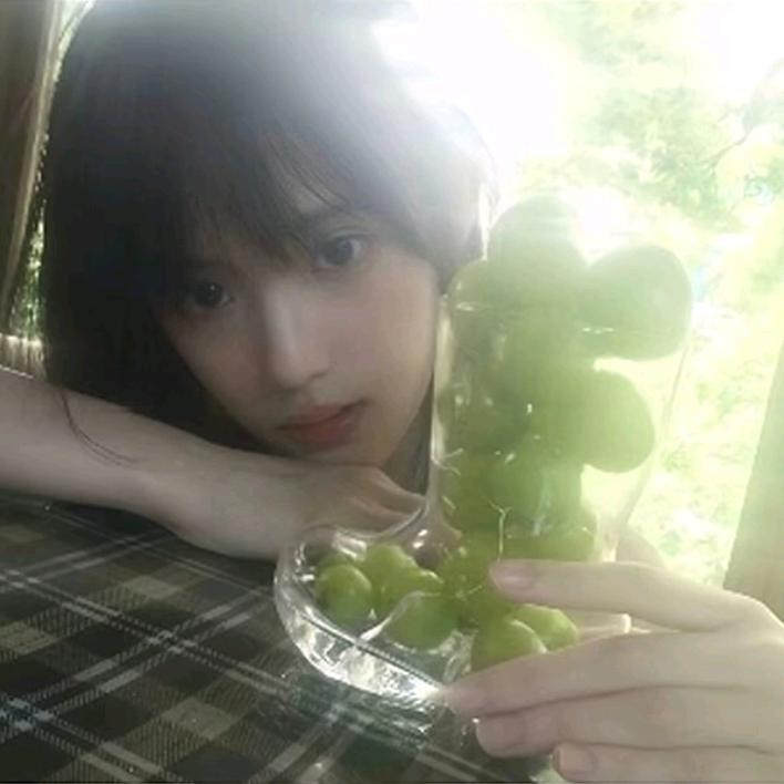樊鸽-