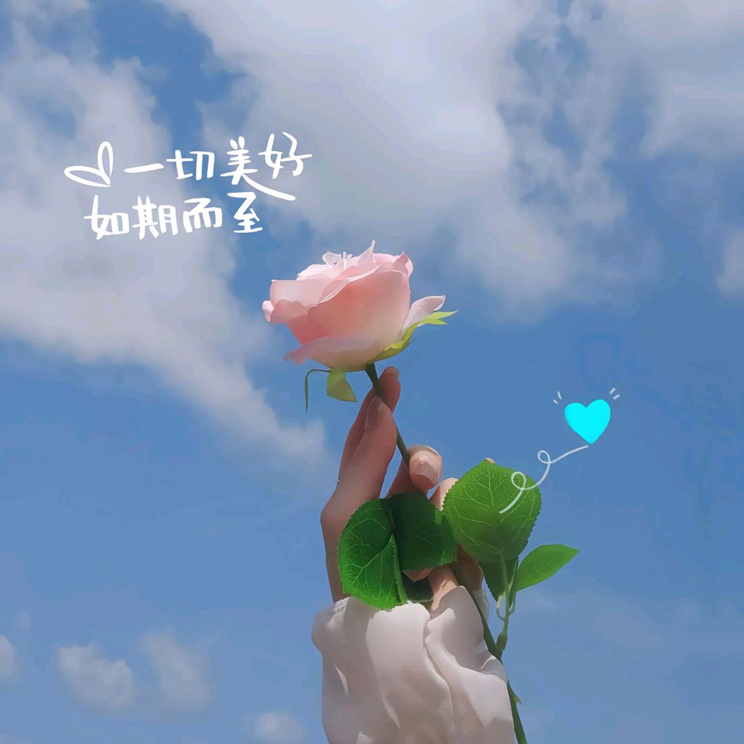 不吃糖的玉米子