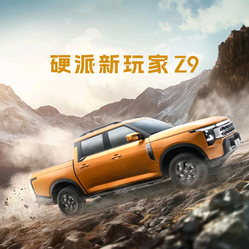 郑州日产新能源皮卡张家界润禾店