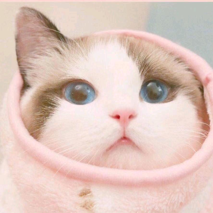 上班就是摸鱼