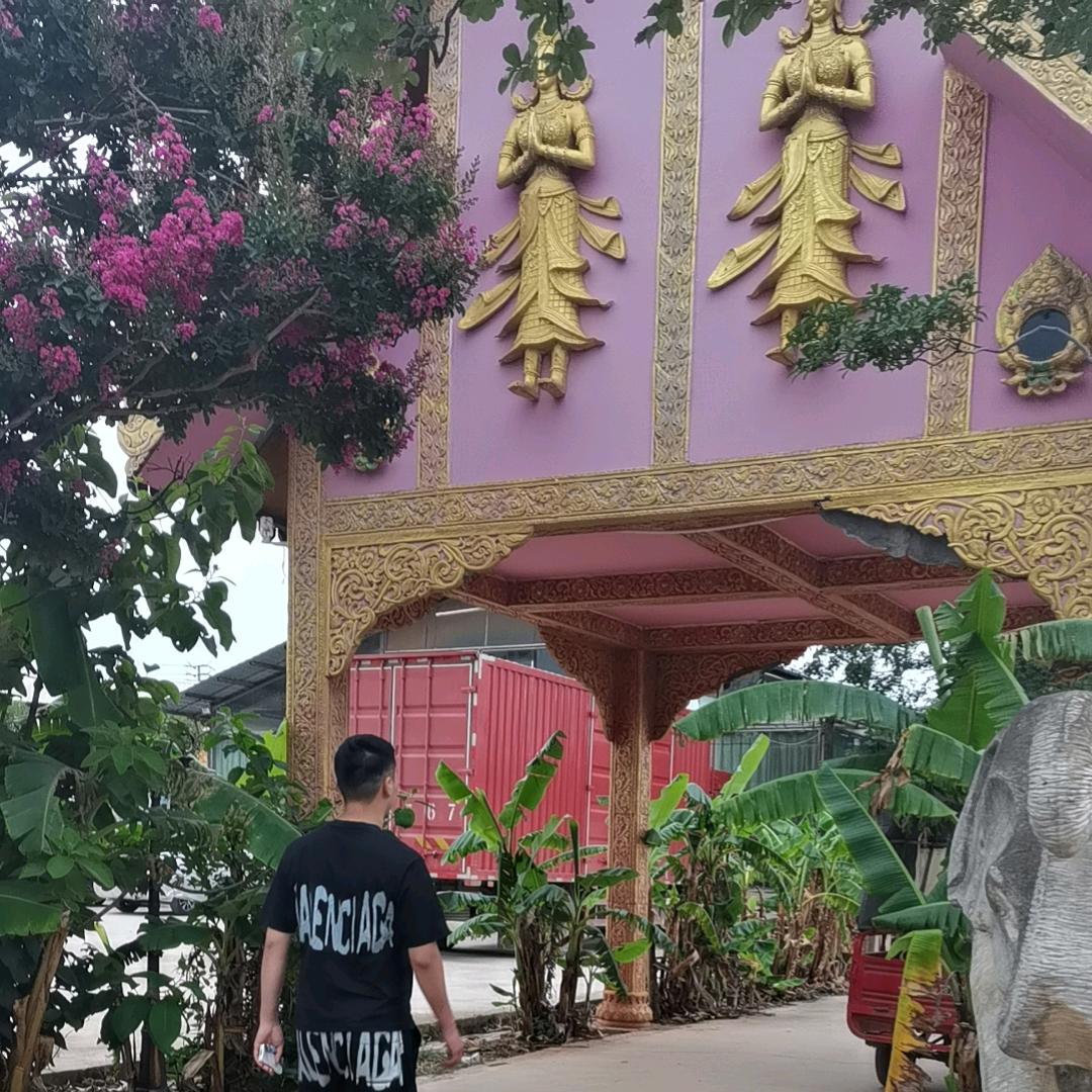 开心的小蝴蝶