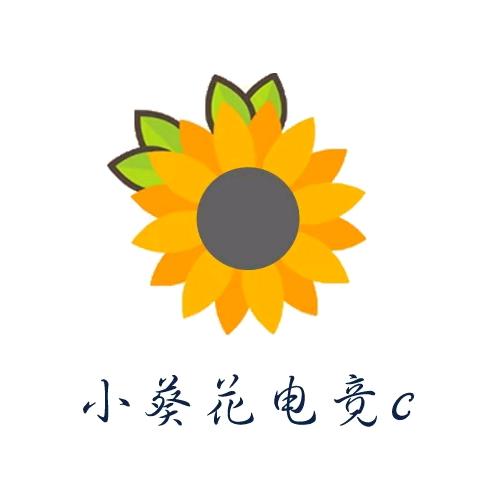 小葵花陪玩战神店