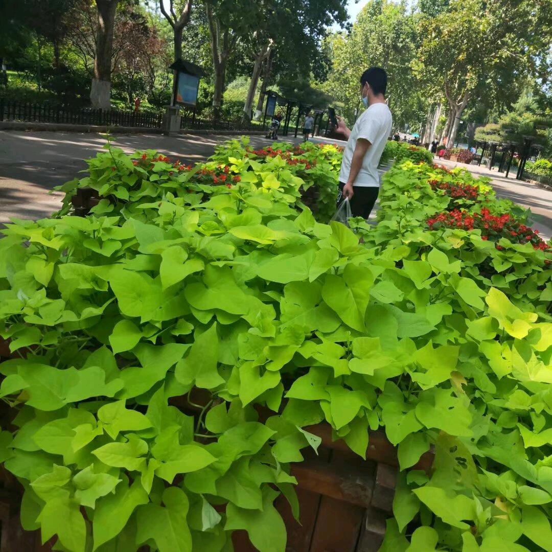 碎碎念